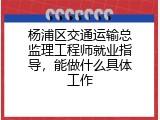 杨浦区交通运输总监理工程师就业指导，能做什么具体工作