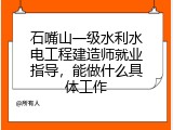石嘴山一级水利水电工程建造师就业指导，能做什么具体工作