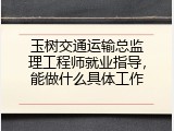玉树交通运输总监理工程师就业指导，能做什么具体工作