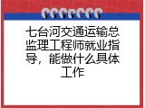 七台河交通运输总监理工程师就业指导，能做什么具体工作