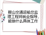 鞍山交通运输总监理工程师就业指导，能做什么具体工作