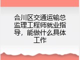 合川区交通运输总监理工程师就业指导，能做什么具体工作