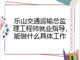 乐山交通运输总监理工程师就业指导，能做什么具体工作