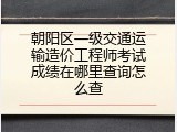 朝阳区一级交通运输造价工程师考试成绩在哪里查询怎么查