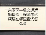 东丽区一级交通运输造价工程师考试成绩在哪里查询怎么查