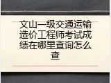 文山一级交通运输造价工程师考试成绩在哪里查询怎么查