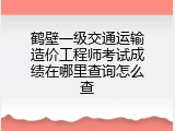 鹤壁一级交通运输造价工程师考试成绩在哪里查询怎么查