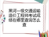 黑河一级交通运输造价工程师考试成绩在哪里查询怎么查