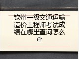 钦州一级交通运输造价工程师考试成绩在哪里查询怎么查