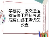 攀枝花一级交通运输造价工程师考试成绩在哪里查询怎么查