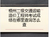 梧州二级交通运输造价工程师考试成绩在哪里查询怎么查