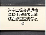 遂宁二级交通运输造价工程师考试成绩在哪里查询怎么查