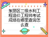 东丽区二级水利工程造价工程师考试成绩在哪里查询怎么查