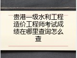 贵港一级水利工程造价工程师考试成绩在哪里查询怎么查
