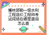 锡林郭勒一级水利工程造价工程师考试成绩在哪里查询怎么查