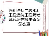 呼和浩特二级水利工程造价工程师考试成绩在哪里查询怎么查