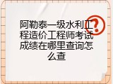 阿勒泰一级水利工程造价工程师考试成绩在哪里查询怎么查