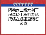 阿勒泰二级水利工程造价工程师考试成绩在哪里查询怎么查