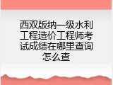 西双版纳一级水利工程造价工程师考试成绩在哪里查询怎么查