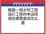鹤壁一级水利工程造价工程师考试成绩在哪里查询怎么查