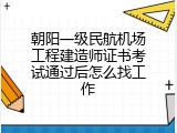 朝阳一级民航机场工程建造师证书考试通过后怎么找工作