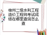 宿州二级水利工程造价工程师考试成绩在哪里查询怎么查