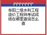 阜阳二级水利工程造价工程师考试成绩在哪里查询怎么查