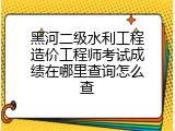 黑河二级水利工程造价工程师考试成绩在哪里查询怎么查