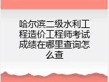 哈尔滨二级水利工程造价工程师考试成绩在哪里查询怎么查