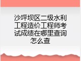 沙坪坝区二级水利工程造价工程师考试成绩在哪里查询怎么查
