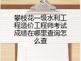 攀枝花一级水利工程造价工程师考试成绩在哪里查询怎么查
