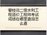 攀枝花二级水利工程造价工程师考试成绩在哪里查询怎么查