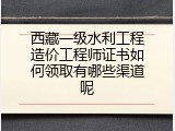 西藏一级水利工程造价工程师证书如何领取有哪些渠道呢