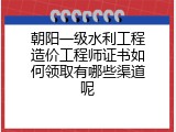 朝阳一级水利工程造价工程师证书如何领取有哪些渠道呢