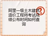阿里一级土木建筑造价工程师考试成绩公布时间如何查询