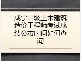 咸宁一级土木建筑造价工程师考试成绩公布时间如何查询