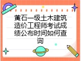 黄石一级土木建筑造价工程师考试成绩公布时间如何查询