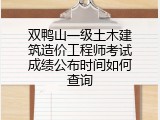 双鸭山一级土木建筑造价工程师考试成绩公布时间如何查询