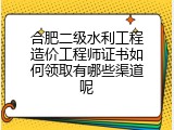 合肥二级水利工程造价工程师证书如何领取有哪些渠道呢