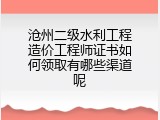 沧州二级水利工程造价工程师证书如何领取有哪些渠道呢