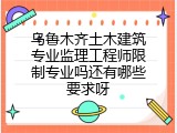 乌鲁木齐土木建筑专业监理工程师限制专业吗还有哪些要求呀