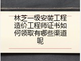 林芝一级安装工程造价工程师证书如何领取有哪些渠道呢