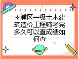 青浦区一级土木建筑造价工程师考完多久可以查成绩如何查