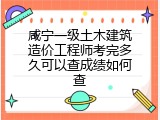 咸宁一级土木建筑造价工程师考完多久可以查成绩如何查