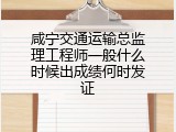 咸宁交通运输总监理工程师一般什么时候出成绩何时发证
