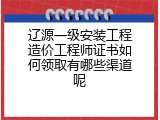 辽源一级安装工程造价工程师证书如何领取有哪些渠道呢