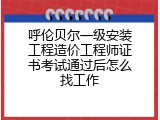 呼伦贝尔一级安装工程造价工程师证书考试通过后怎么找工作