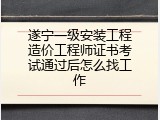 遂宁一级安装工程造价工程师证书考试通过后怎么找工作