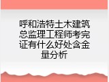 呼和浩特土木建筑总监理工程师考完证有什么好处含金量分析