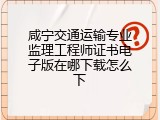 咸宁交通运输专业监理工程师证书电子版在哪下载怎么下